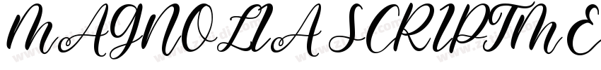 MAGNOLIA SCRIPTMEDIU字体转换